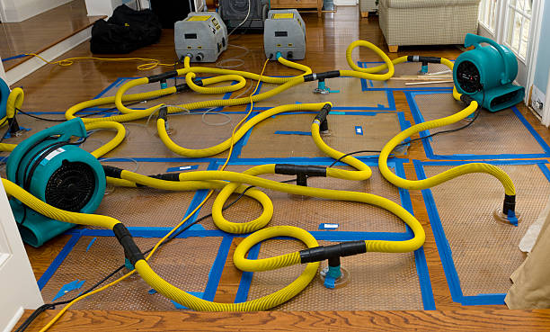 Professional Water Extraction technician working in Owendale, MI